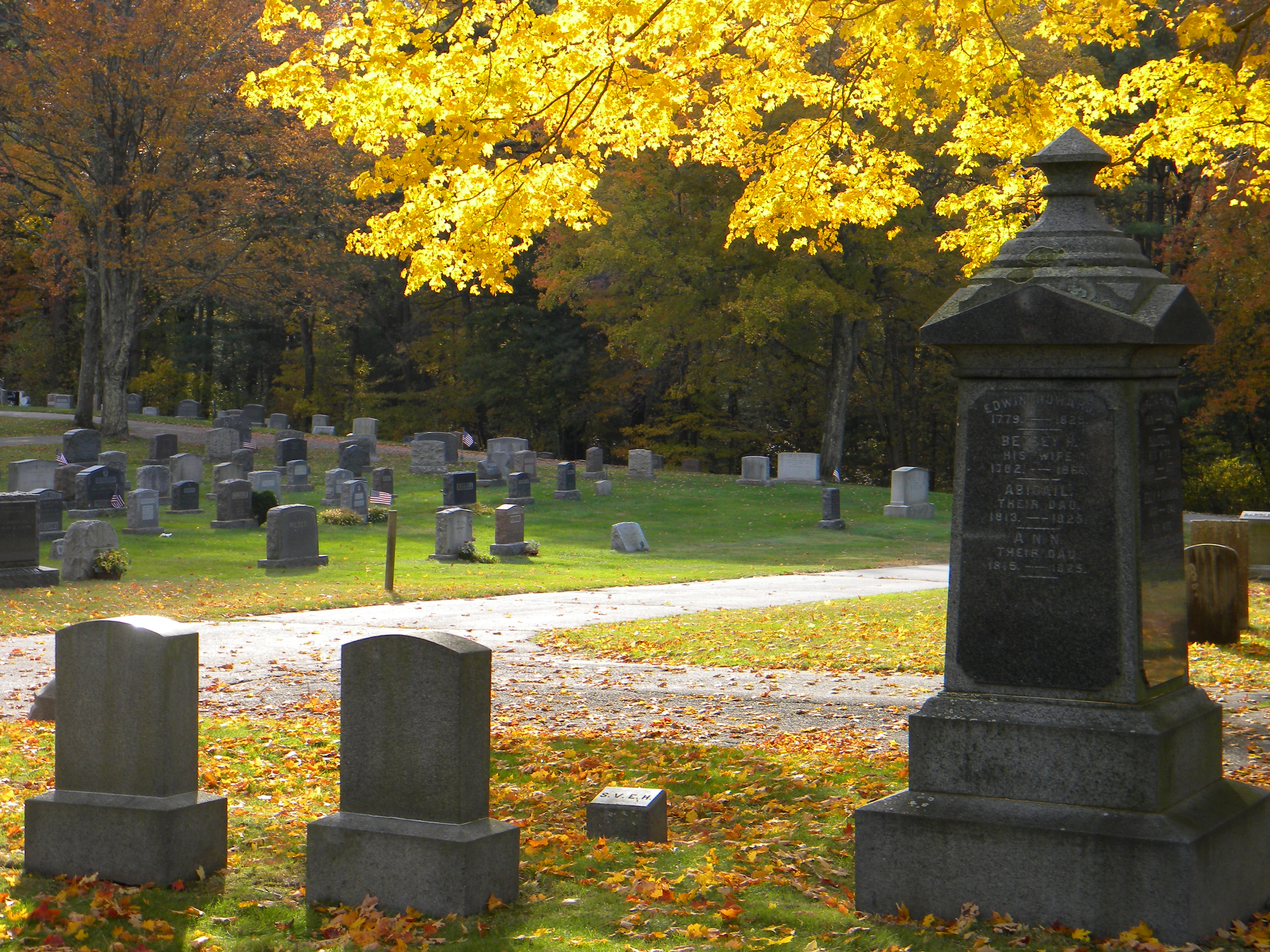 cemetery1.jpg